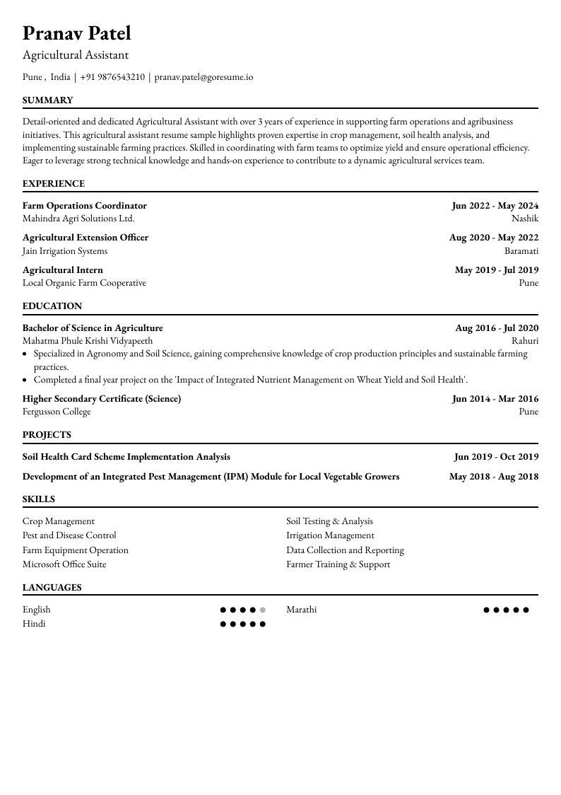 GoResume mobile editor preview